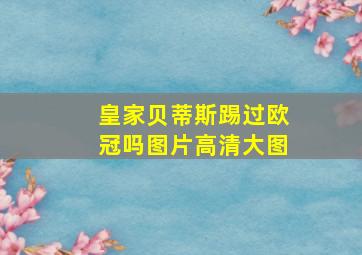 皇家贝蒂斯踢过欧冠吗图片高清大图