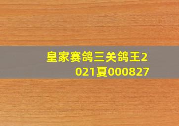 皇家赛鸽三关鸽王2021夏000827