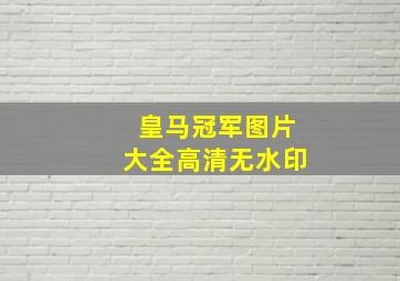 皇马冠军图片大全高清无水印