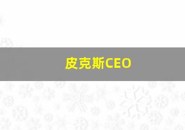 皮克斯CEO