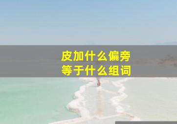 皮加什么偏旁等于什么组词