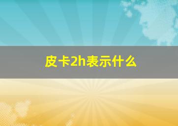 皮卡2h表示什么