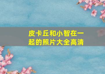 皮卡丘和小智在一起的照片大全高清