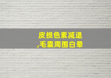 皮损色素减退,毛囊周围白晕