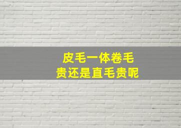 皮毛一体卷毛贵还是直毛贵呢