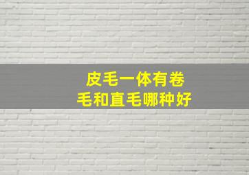 皮毛一体有卷毛和直毛哪种好