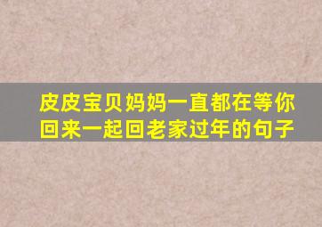 皮皮宝贝妈妈一直都在等你回来一起回老家过年的句子