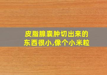 皮脂腺囊肿切出来的东西很小,像个小米粒