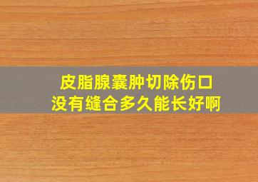 皮脂腺囊肿切除伤口没有缝合多久能长好啊