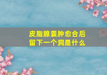 皮脂腺囊肿愈合后留下一个洞是什么