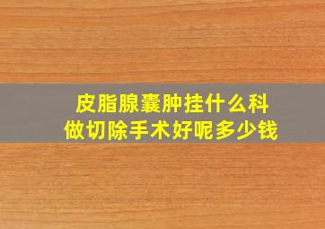 皮脂腺囊肿挂什么科做切除手术好呢多少钱