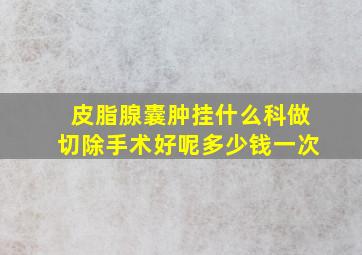 皮脂腺囊肿挂什么科做切除手术好呢多少钱一次