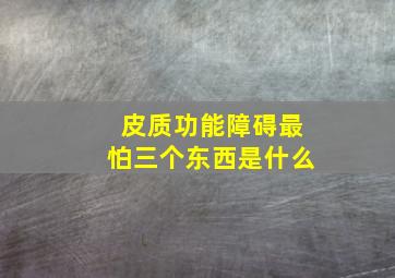 皮质功能障碍最怕三个东西是什么