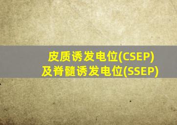 皮质诱发电位(CSEP)及脊髓诱发电位(SSEP)