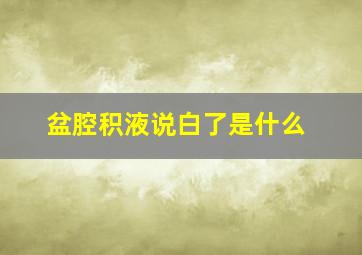 盆腔积液说白了是什么