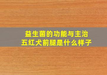 益生菌的功能与主治五红犬前腿是什么样子