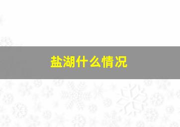 盐湖什么情况