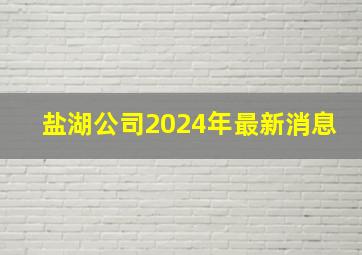 盐湖公司2024年最新消息