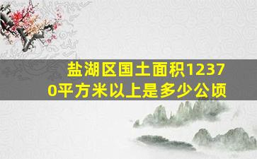 盐湖区国土面积12370平方米以上是多少公顷