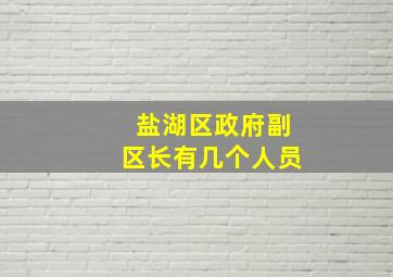 盐湖区政府副区长有几个人员