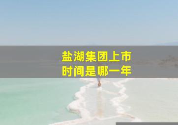 盐湖集团上市时间是哪一年