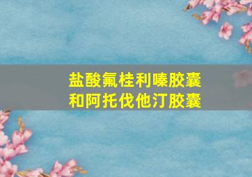 盐酸氟桂利嗪胶囊和阿托伐他汀胶囊