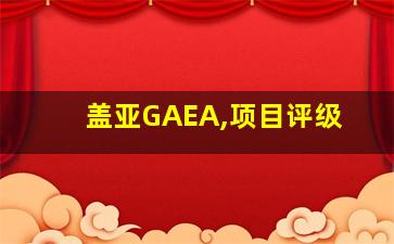 盖亚GAEA,项目评级