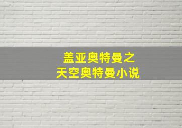 盖亚奥特曼之天空奥特曼小说