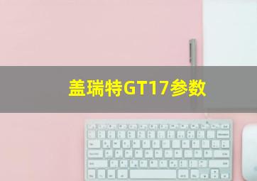 盖瑞特GT17参数