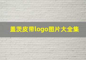 盖茨皮带logo图片大全集