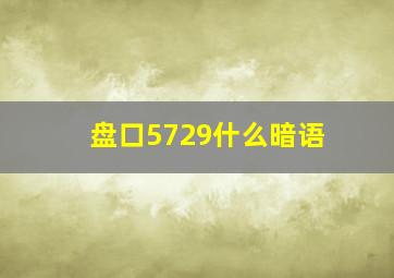 盘口5729什么暗语