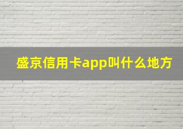 盛京信用卡app叫什么地方