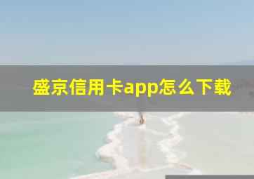 盛京信用卡app怎么下载