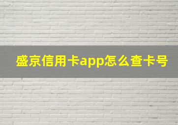 盛京信用卡app怎么查卡号