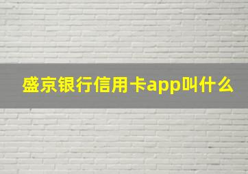 盛京银行信用卡app叫什么