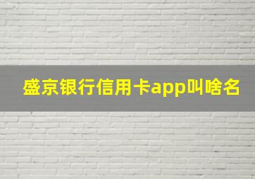 盛京银行信用卡app叫啥名