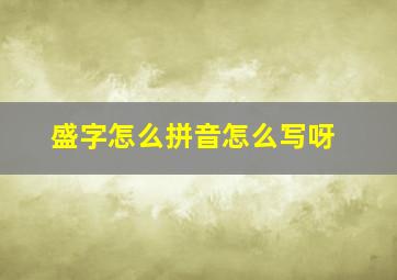 盛字怎么拼音怎么写呀