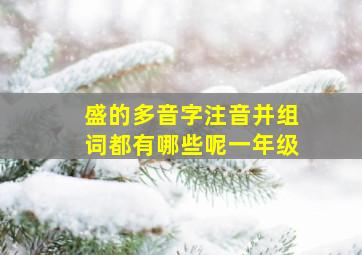 盛的多音字注音并组词都有哪些呢一年级