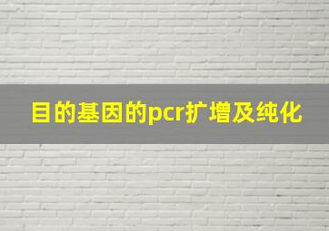 目的基因的pcr扩增及纯化