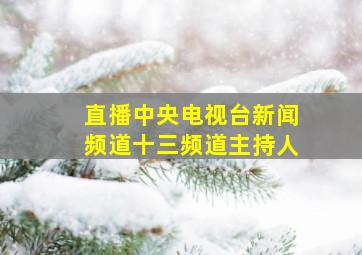 直播中央电视台新闻频道十三频道主持人