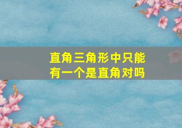 直角三角形中只能有一个是直角对吗