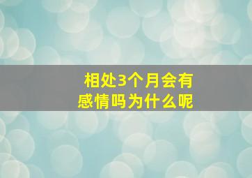 相处3个月会有感情吗为什么呢