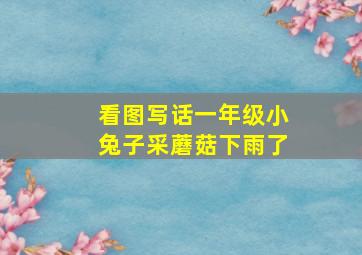 看图写话一年级小兔子采蘑菇下雨了