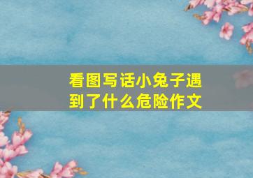 看图写话小兔子遇到了什么危险作文