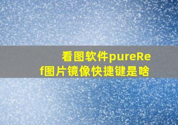 看图软件pureRef图片镜像快捷键是啥