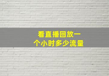 看直播回放一个小时多少流量