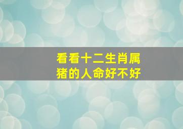 看看十二生肖属猪的人命好不好