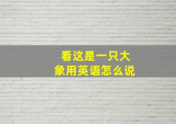 看这是一只大象用英语怎么说