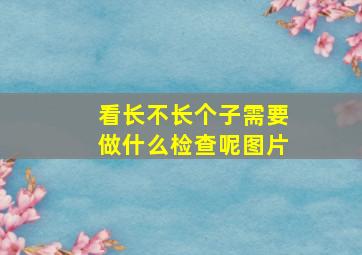 看长不长个子需要做什么检查呢图片