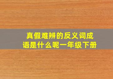 真假难辨的反义词成语是什么呢一年级下册